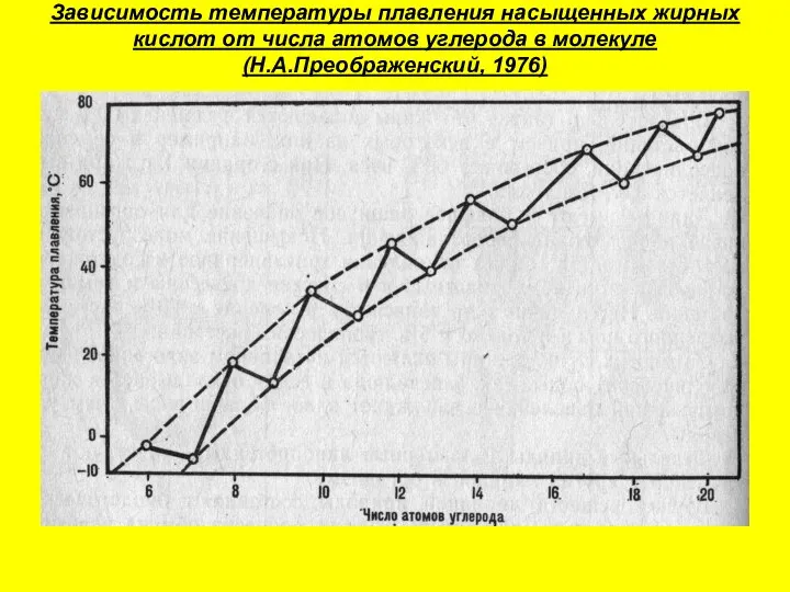 Зависимость температуры плавления насыщенных жирных кислот от числа атомов углерода в молекуле (Н.А.Преображенский, 1976)