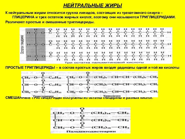 НЕЙТРАЛЬНЫЕ ЖИРЫ К нейтральным жирам относится группа липидов, состоящих из трехатомного