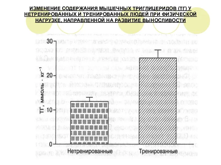 ИЗМЕНЕНИЕ СОДЕРЖАНИЯ МЫШЕЧНЫХ ТРИГЛИЦЕРИДОВ (ТГ) У НЕТРЕНИРОВАННЫХ И ТРЕНИРОВАННЫХ ЛЮДЕЙ ПРИ