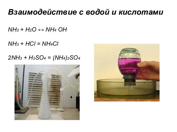 Взаимодействие с водой и кислотами NH3 + Н2О ↔ NН4 ОН