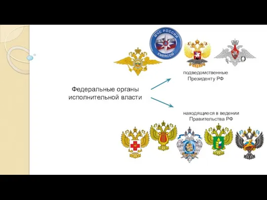 Федеральные органы исполнительной власти подведомственные Президенту РФ находящиеся в ведении Правительства РФ