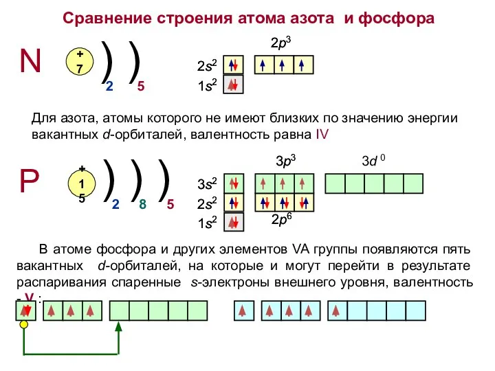 Сравнение строения атома азота и фосфора N P +7 +15 )