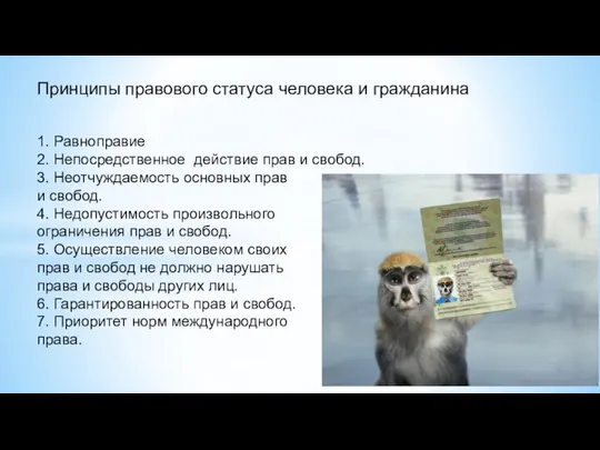 Принципы правового статуса человека и гражданина 1. Равноправие 2. Непосредственное действие