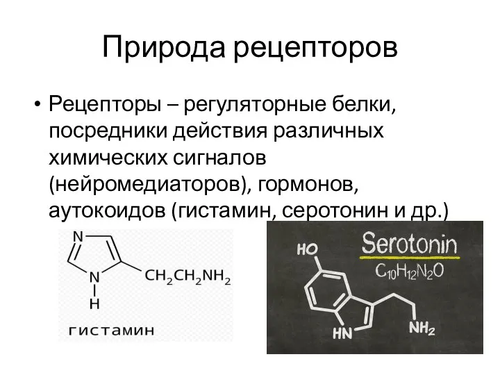 Природа рецепторов Рецепторы – регуляторные белки, посредники действия различных химических сигналов