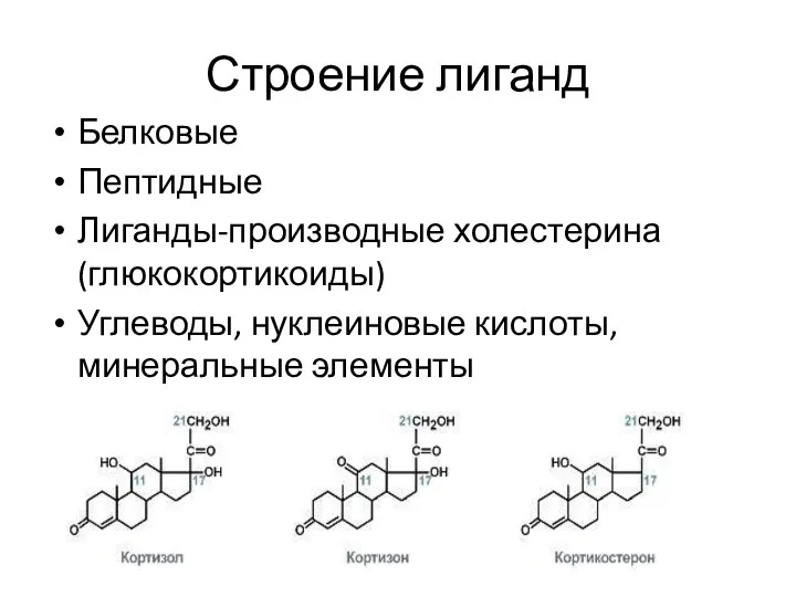 Строение лиганд Белковые Пептидные Лиганды-производные холестерина (глюкокортикоиды) Углеводы, нуклеиновые кислоты, минеральные элементы