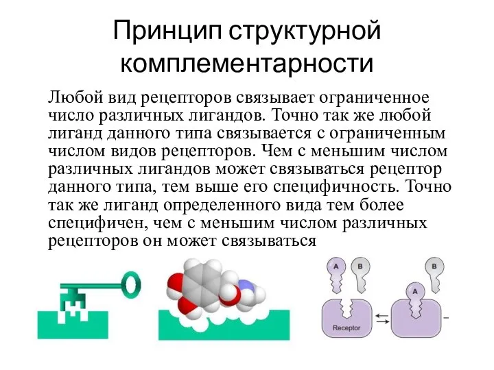 Принцип структурной комплементарности Любой вид рецепторов связывает ограниченное число различных лигандов.