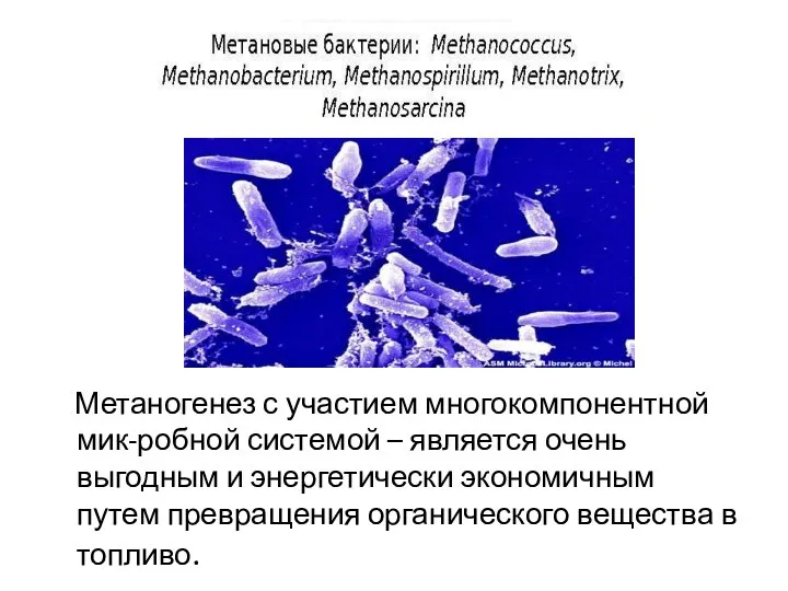 Метаногенез с участием многокомпонентной мик-робной системой – является очень выгодным и