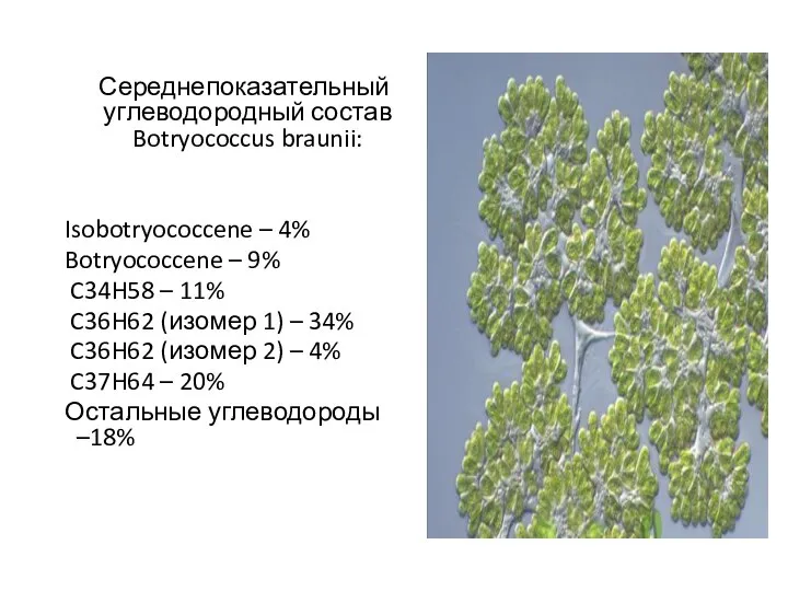 Середнепоказательный углеводородный состав Botryococcus braunii: Isobotryococcene – 4% Botryococcene – 9%