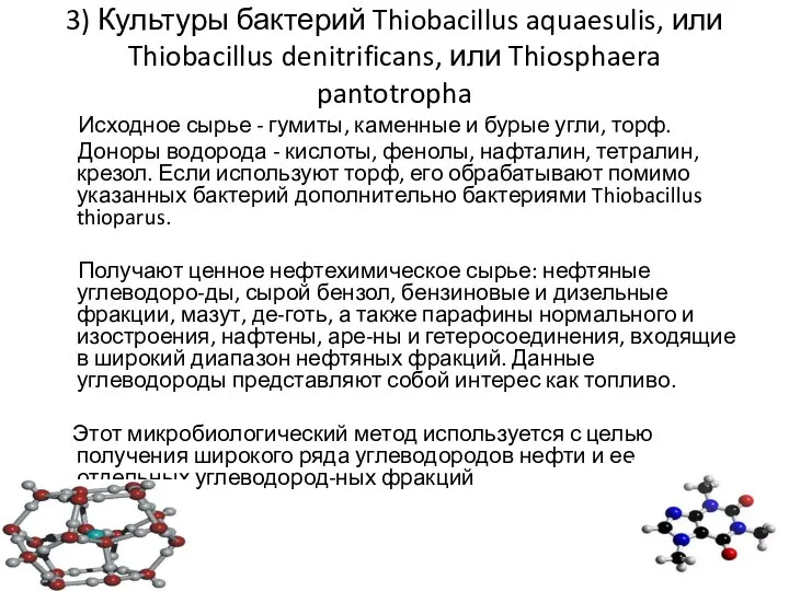 3) Культуры бактерий Thiobacillus aquaesulis, или Thiobacillus denitrificans, или Thiosphaera pantotropha