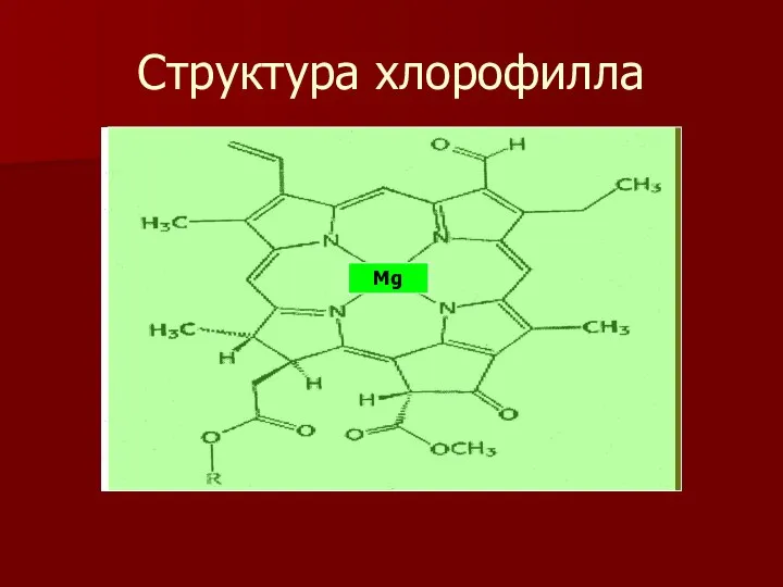 Структура хлорофилла Mg
