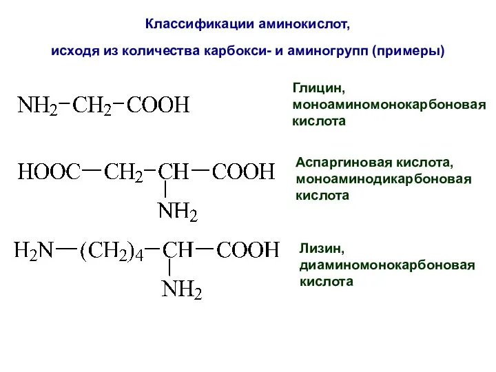 Классификации аминокислот, исходя из количества карбокси- и аминогрупп (примеры) Глицин, моноаминомонокарбоновая