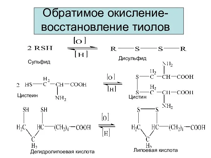 Обратимое окисление-восстановление тиолов Сульфид Дисульфид Цистеин Цистин Дегидролипоевая кислота Липоевая кислота