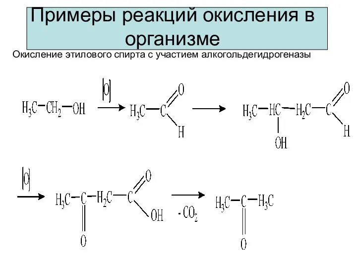 Примеры реакций окисления в организме Окисление этилового спирта с участием алкогольдегидрогеназы