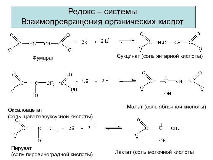 Редокс – системы Взаимопревращения органических кислот Фумарат Сукцинат (соль янтарной кислоты)