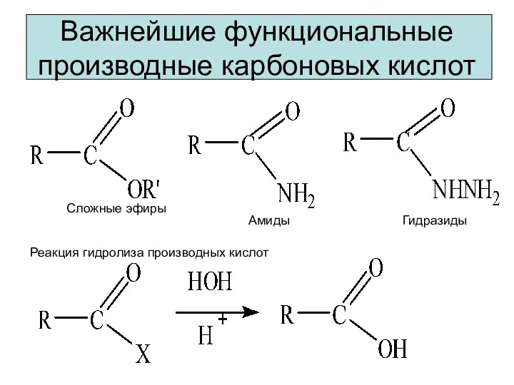 Важнейшие функциональные производные карбоновых кислот Сложные эфиры Амиды Гидразиды Реакция гидролиза производных кислот