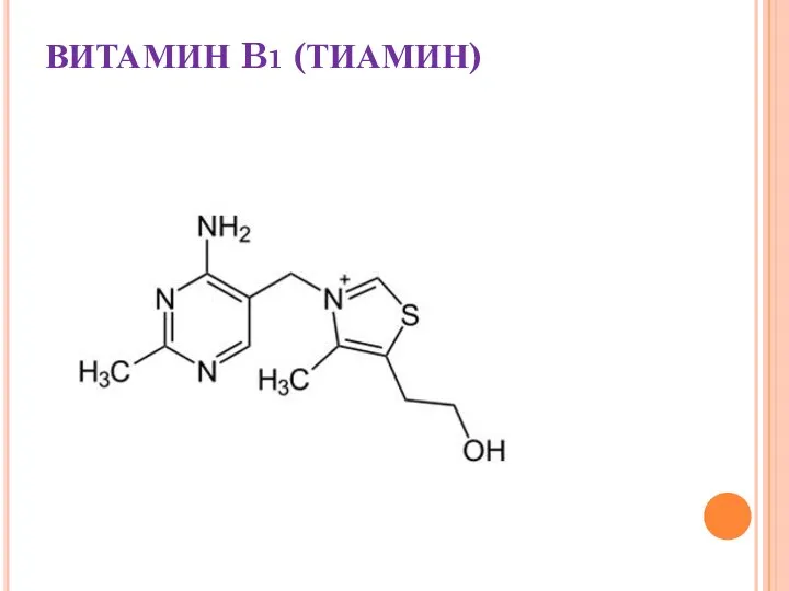 ВИТАМИН B1 (ТИАМИН)