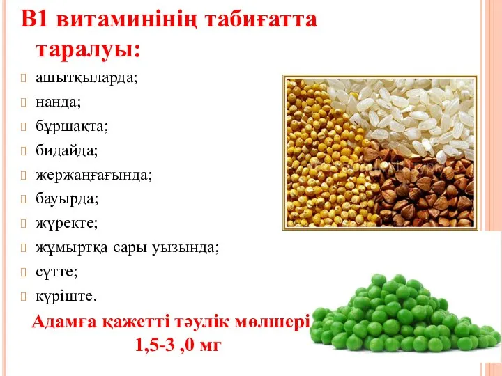 В1 витаминінің табиғатта таралуы: ашытқыларда; нанда; бұршақта; бидайда; жержаңғағында; бауырда; жүректе;