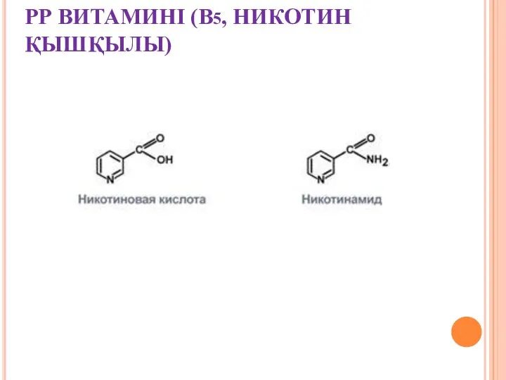 РР ВИТАМИНІ (В5, НИКОТИН ҚЫШҚЫЛЫ)