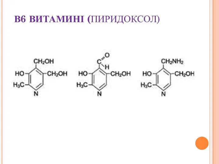 В6 ВИТАМИНІ (ПИРИДОКСОЛ)
