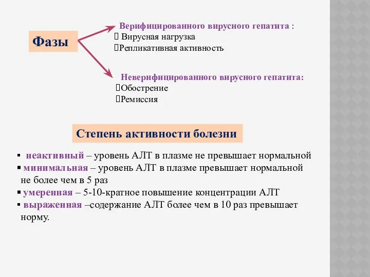 Фазы Верифицированного вирусного гепатита : Вирусная нагрузка Репликативная активность Неверифицированного вирусного