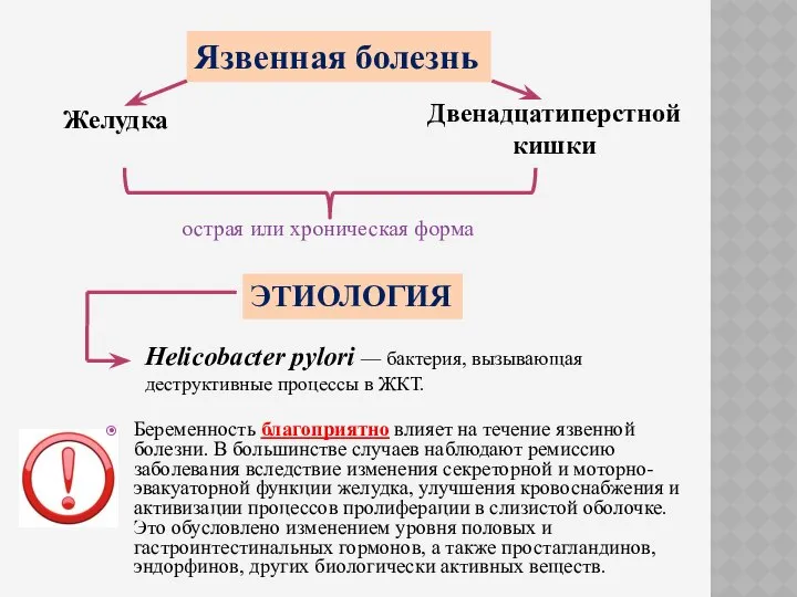 Язвенная болезнь Желудка Двенадцатиперстной кишки острая или хроническая форма ЭТИОЛОГИЯ Helicobacter