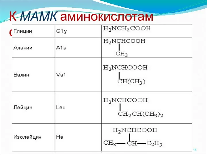 К МАМК аминокислотам относят: