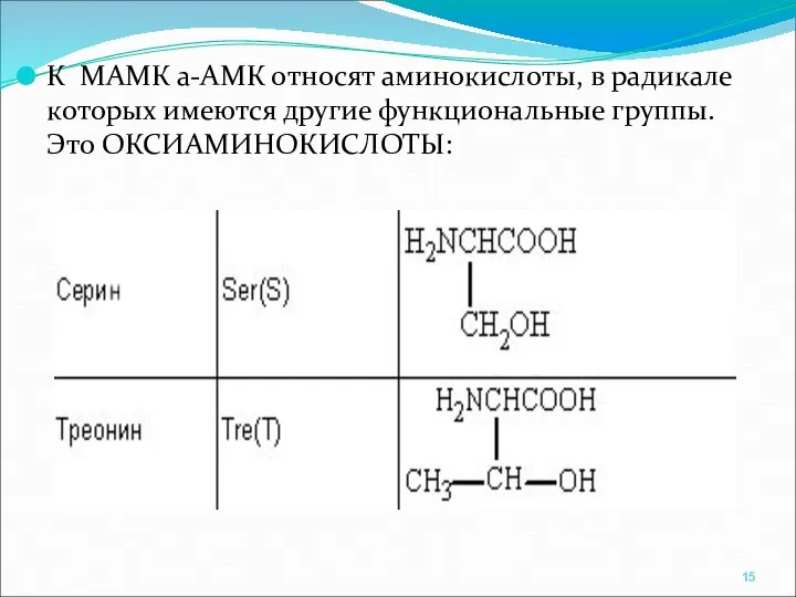 К МАМК а-АМК относят аминокислоты, в радикале которых имеются другие функциональные группы. Это ОКСИАМИНОКИСЛОТЫ: