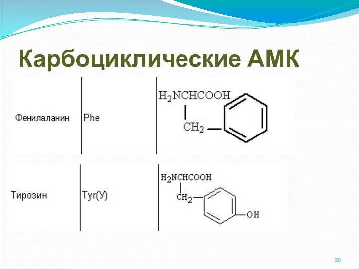 Карбоциклические АМК