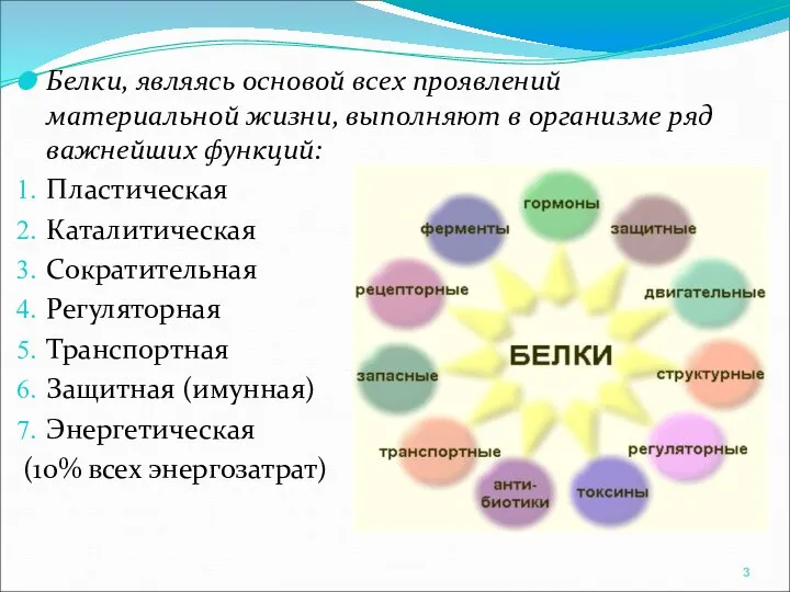 Белки, являясь основой всех проявлений материальной жизни, выполняют в организме ряд