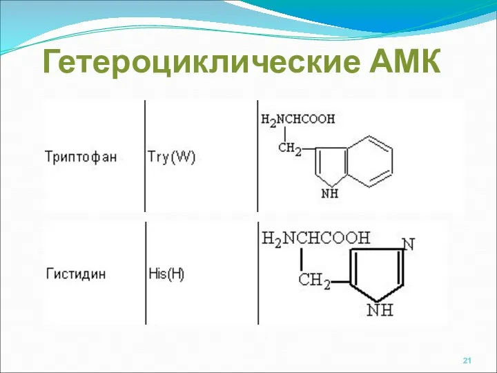 Гетероциклические АМК