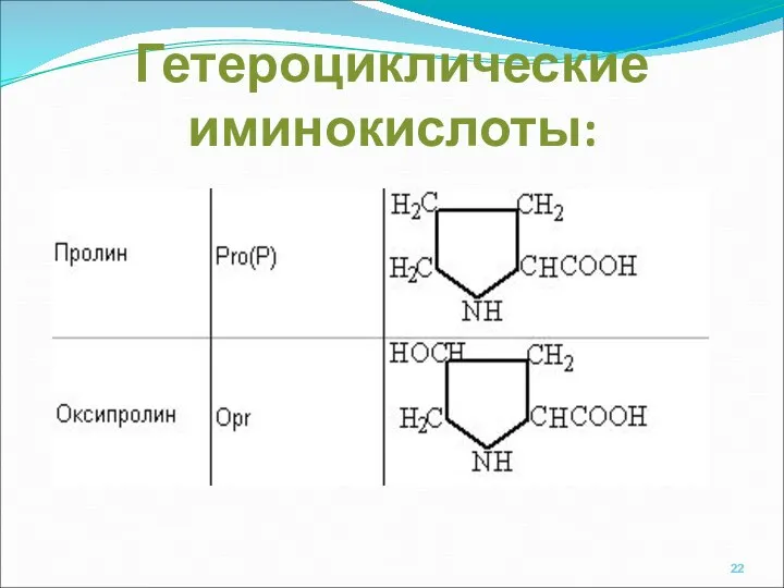 Гетероциклические иминокислоты: