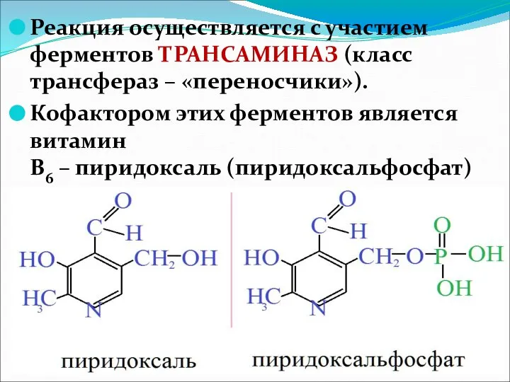 Реакция осуществляется с участием ферментов ТРАНСАМИНАЗ (класс трансфераз – «переносчики»). Кофактором