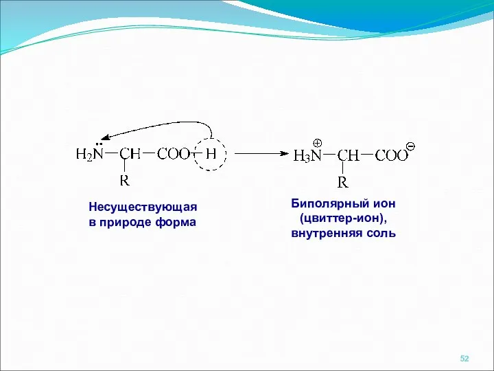 Несуществующая в природе форма Биполярный ион (цвиттер-ион), внутренняя соль