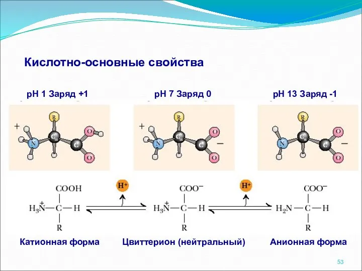 Кислотно-основные свойства pH 1 Заряд +1 pH 7 Заряд 0 pH