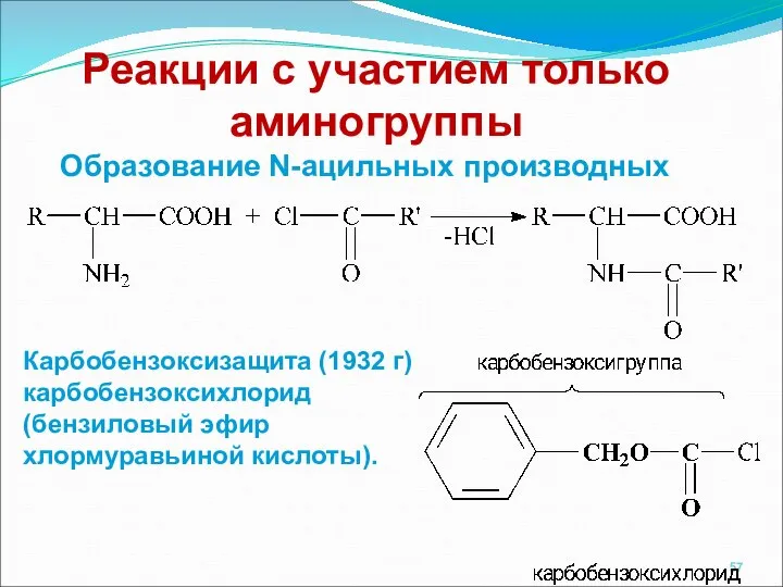 Реакции с участием только аминогруппы Образование N-ацильных производных Карбобензоксизащита (1932 г) карбобензоксихлорид (бензиловый эфир хлормуравьиной кислоты).