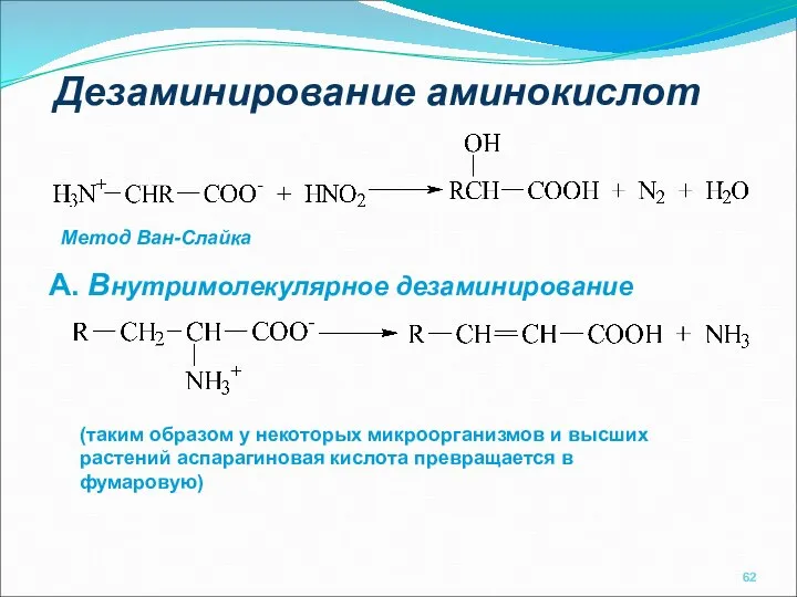 Дезаминирование аминокислот Метод Ван-Слайка А. Внутримолекулярное дезаминирование (таким образом у некоторых