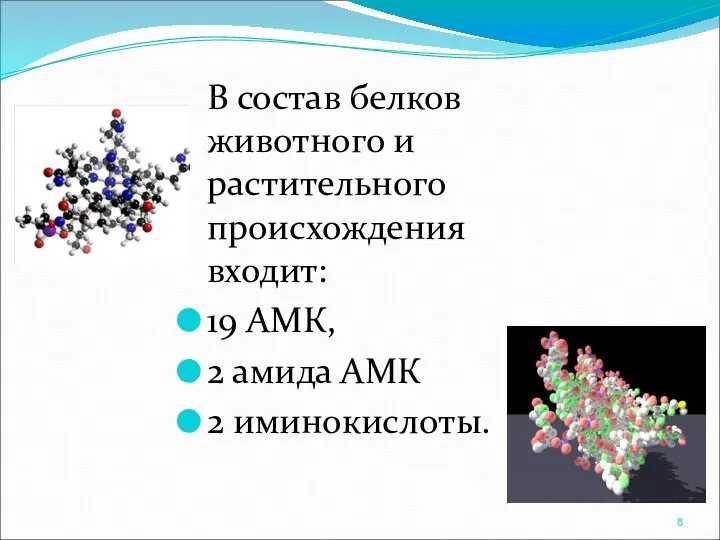 В состав белков животного и растительного происхождения входит: 19 АМК, 2 амида АМК 2 иминокислоты.