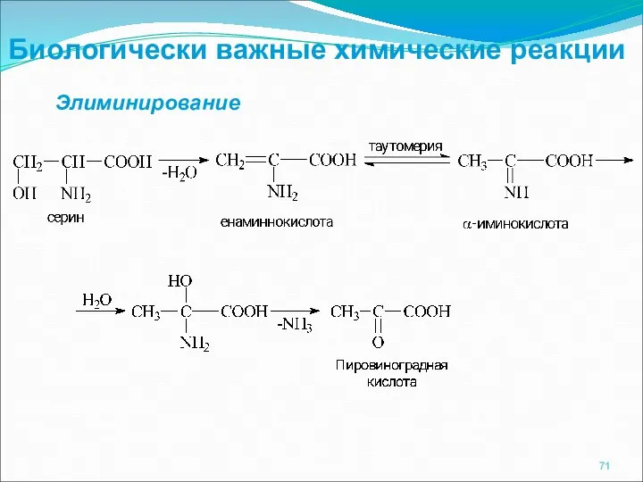 Биологически важные химические реакции Элиминирование