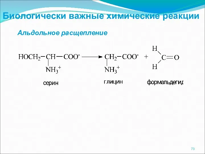 Биологически важные химические реакции Альдольное расщепление