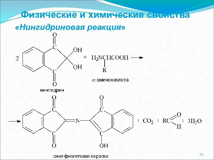 «Нингидриновая реакция» Физические и химические свойства