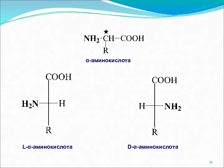 α-аминокислота L-α-аминокислота D-α-аминокислота