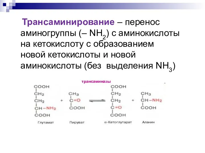 Трансаминирование – перенос аминогруппы (– NH2) с аминокислоты на кетокислоту с