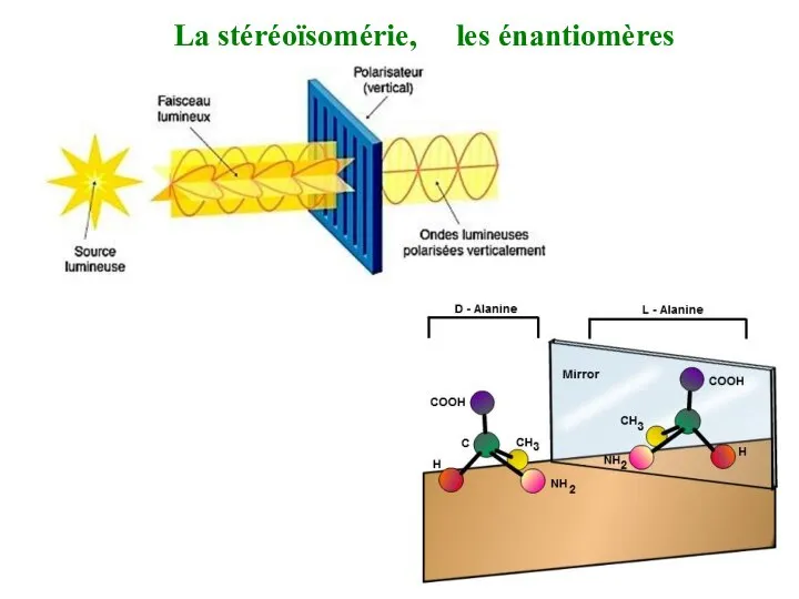 Lа stéréoïsomérie, les énantiomères