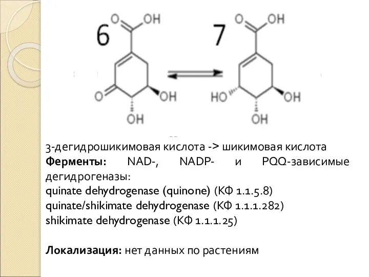 3-дегидрошикимовая кислота -> шикимовая кислота Ферменты: NAD-, NADP- и PQQ-зависимые дегидрогеназы: