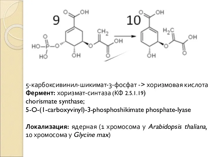 5-карбоксивинил-шикимат-3-фосфат -> хоризмовая кислота Фермент: хоризмат-синтаза (КФ 2.5.1.19) chorismate synthase; 5-O-(1-carboxyvinyl)-3-phosphoshikimate