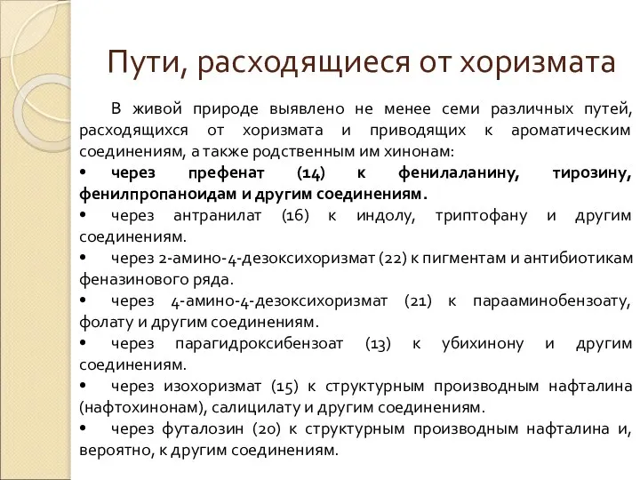 Пути, расходящиеся от хоризмата В живой природе выявлено не менее семи