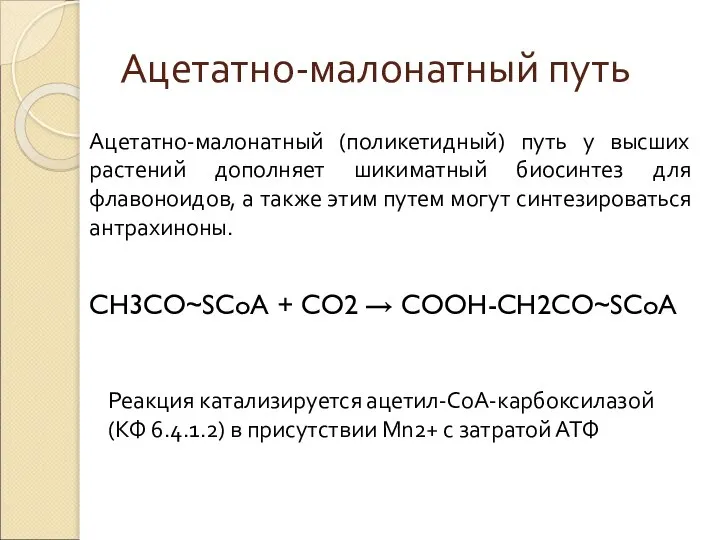 Ацетатно-малонатный путь Ацетатно-малонатный (поликетидный) путь у высших растений дополняет шикиматный биосинтез