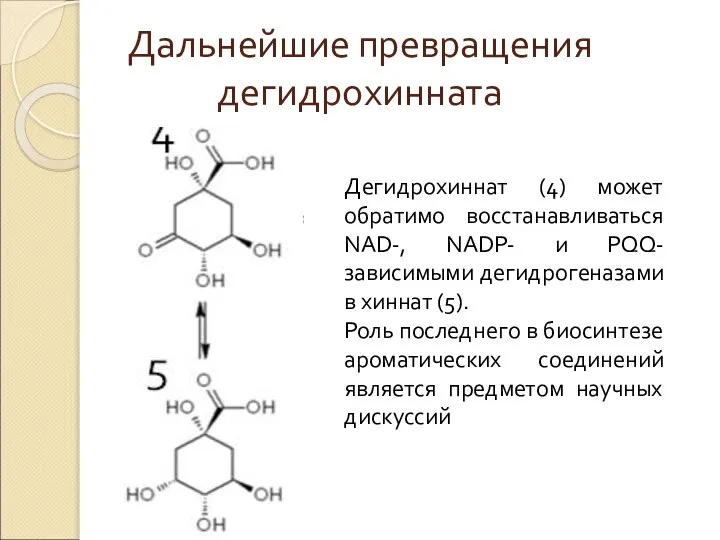 Дальнейшие превращения дегидрохинната Дегидрохиннат (4) может обратимо восстанавливаться NAD-, NADP- и