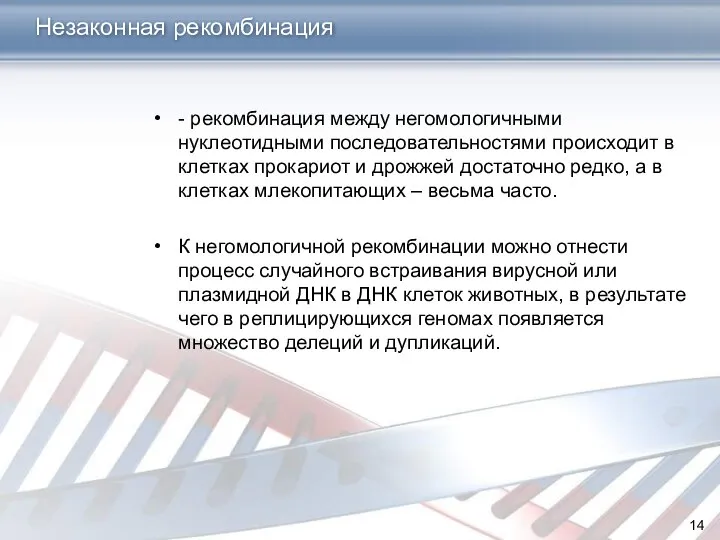 - рекомбинация между негомологичными нуклеотидными последовательностями происходит в клетках прокариот и