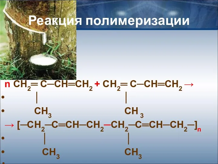 Реакция полимеризации n СН2═ С─СН═СН2 + СН2═ С─СН═СН2 → │ │